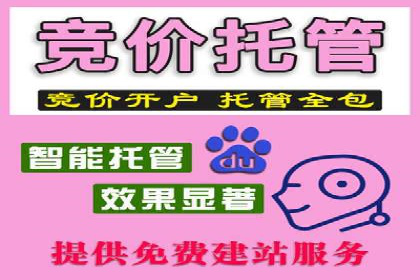 百度推广代运营助力企业增长案例